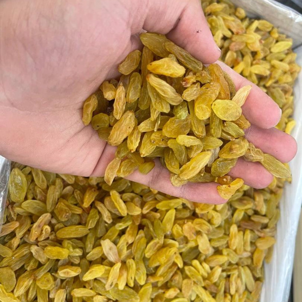 Dried Grape